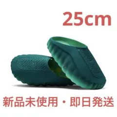 2026年最新】NIKE カラー：グリーン系 メンズ サンダルの人気アイテム