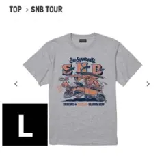 Hi-STANDARD ハイスタ バンド Tシャツ Mサイズ - メルカリ