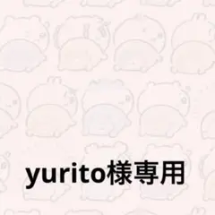 yurito様 リクエスト 2点 まとめ商品