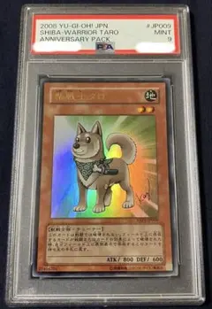 2025年最新】柴戦士タロの人気アイテム - メルカリ