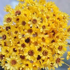 ★☆ゆうまま☆★様 リクエスト 3点 まとめ商品