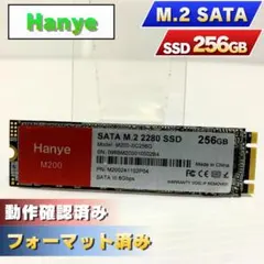 Hanye M.2 SATA SSD 256GB 本体【0129】