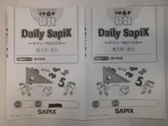 デイリーサピックス＊６年・算数～応用発展＊全３８回 完全版／αクラス＊２０２３年 2025年最新】デイリーサピックスの人気アイテム - メルカリ