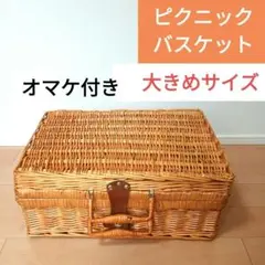 2026年最新】ラタンピクニックバスケットの人気アイテム - メルカリ