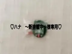 ♡ ハナ　〜断捨離中〜様専用♡06/02
