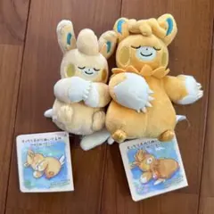 美品　もっちり手のりぬいぐるみ おねんねパモット