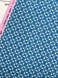 RS11✦ RubyStar Society ✦ハートクローバー・