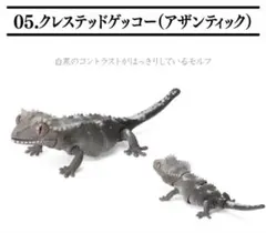 Item thumbnail for item 080a200d-3d5c-424f-a2c0-83a134cdeebe