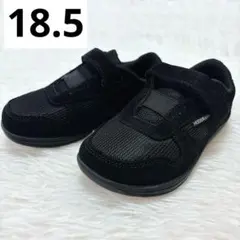 Item thumbnail for item 65fd4e9a-d513-4a44-ba2a-3c678bb3fc02