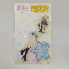 やはり俺の青春ラブコメはまちがっている 俺ガイル 缶バッジ 雪ノ下