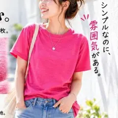 スラブ天竺 Ｔシャツ 豊天商店 つむぎ天竺 無地 綿100％ ブーデンのサムネイル