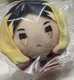 孤爪研磨 ハイキュー！！ ぬいぐるみ マスコット 音駒 寝そべり