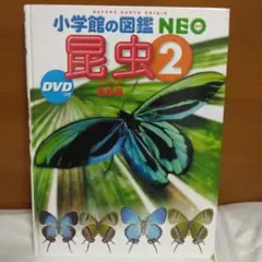 小学校の図鑑NEO 昆虫2 D【DVD欠品】