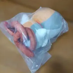 一番くじ　夏目友人帳　B賞