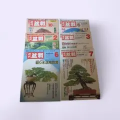 2026年最新】皐月盆栽の人気アイテム - メルカリ