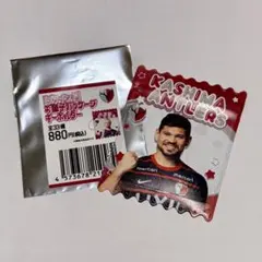 Item thumbnail for item 5b261e3a-3f73-4d50-9a0e-dcc207f7edc3