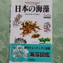 Item thumbnail for item 57bed48d-be58-424f-9383-4f3517d20ba4