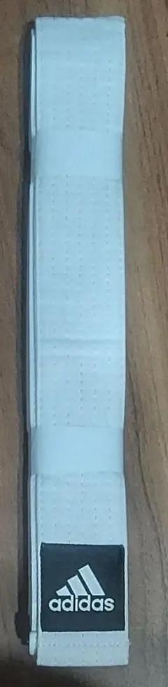 Item thumbnail for item 670d4482-1476-4984-82a7-9b0e23c27205