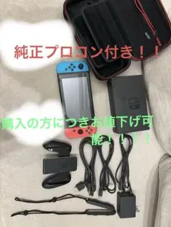 Nintendo Switch 青/赤 本体 充実付属品プロコン&ケース付き