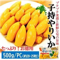 子持ちヤリイカ 徳用 500g/PC＋柚子唐辛子/Mサイズ(約20-25個位入)のサムネイル