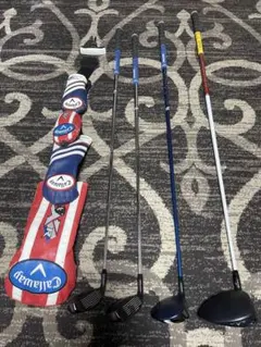 Item thumbnail for item 9085b54f-dab6-4eea-920e-e8819b2075d6