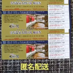 有馬温泉 太閤の湯 神鉄 株主優待券 2枚