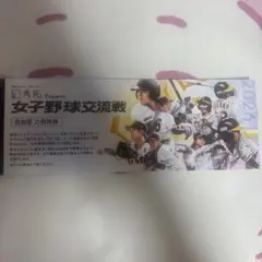 요미우리 자이언츠 vs 한신 타이거즈 여자 야구 인터리그 4차전 내야 자유석