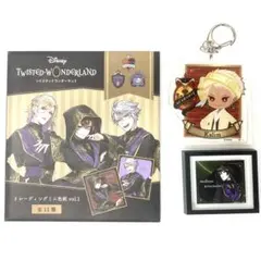 バラ対応可！新品！ツイステッドワンダーランド3点セット ミニ色紙　マグネット等