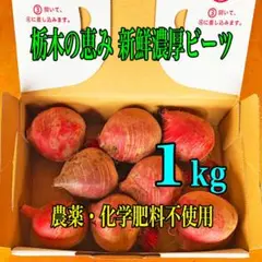 【信州産ビーツ】20kg 【有機肥料使用・化学農薬不使用】 新鮮濃厚ビーツ 1kg 農薬・化学肥料不使用 - メルカリ