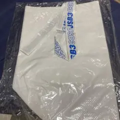 三代目J SOUL BROTHERS 新品未開封 オリジナルエコバッグ