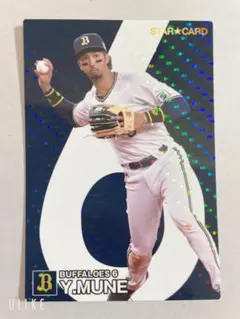 ネコにゃんにゃん　いぬワンワン様 リクエスト 3点 まとめ商品