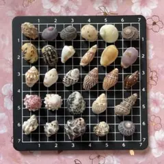 ゆうちゃママ様 リクエスト 2点 まとめ商品