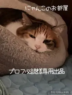 プロフ必読様専用出品