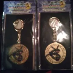 ポケモンメガスタンプラリー 2025 スペシャルメダル 黒いレックウザ 2個