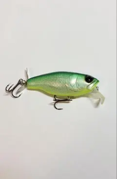 バスジェット　ウェイクベイトのサムネイル