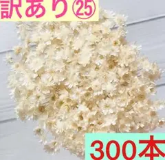 はる様 リクエスト 2点 まとめ商品