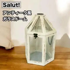 Salut! サリュ アンティーク風　ガラスケース　ガラスドーム　ショーケース