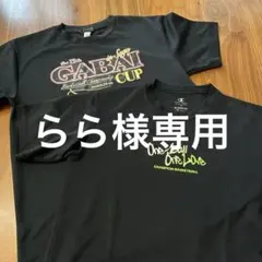 champion バスケットボールTシャツ2枚セット　160センチ