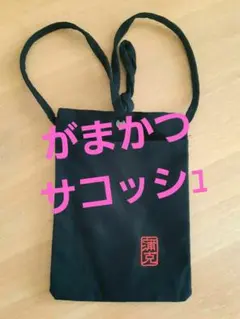 Item thumbnail for item 2050b128-5728-4815-b8b2-b7c2c1e9276c