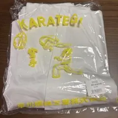 新品未使用 極真 空手 1号 道着 スターター KI-50 - メルカリ