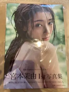 楽天ブックス限定カバー】乃木坂46梅澤美波写真集『夢の近く