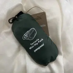 Patagonia Terravia Mini Hip Pack