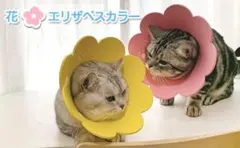 【20%OFF】エリザベスカラー Sサイズ 猫用 犬用 ソフト 傷舐め防止