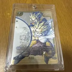 限定値下げ孫悟飯：少年期(パラレル/漫画絵)【SCR☆☆】