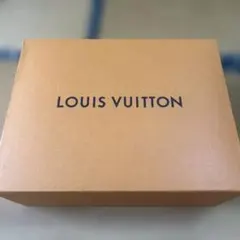 LOUIS VUITTON オレンジ収納ボックス 中型