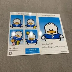 サンリオキャラクターズ　証明写真風スマロイド　あひるのペックル