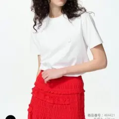 グラフィックТ