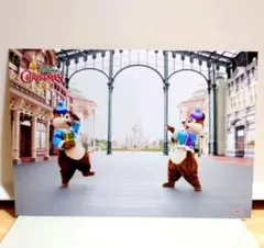 うさみ様 リクエスト 4点 まとめ商品