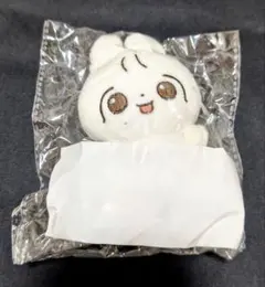 【新品】10cm SEVENTEEN　ジョンハン　ぬいぐるみ　マスター