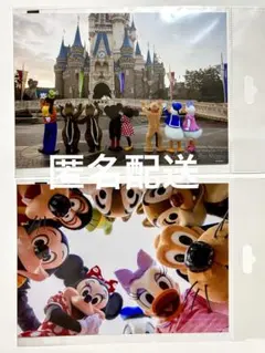 新品未開封 東京ディズニーリゾート　イマジニング ザ マジックブロマイド　2L